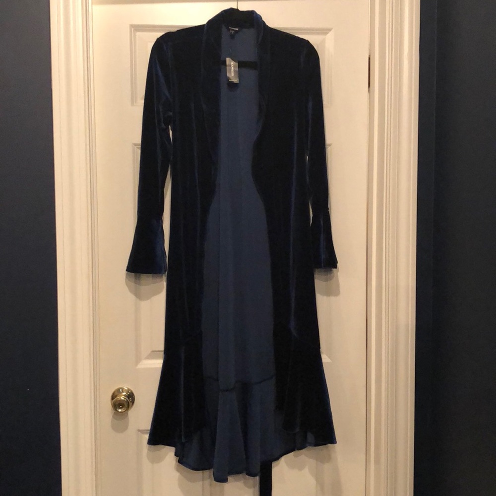 Express Velvet wrap dress